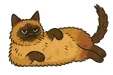 A cat sleeping